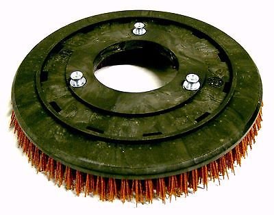 Set of 2 Advance 14" Grit Brush 56505801 SC750 SC800 Advenger X3405 Scrubber - CalCleaningEquipment